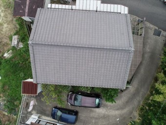 カラーベスト点検