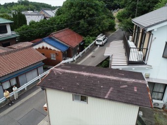 カラーベスト点検