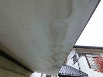 屋根診断