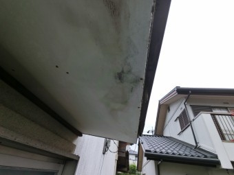 屋根診断