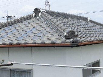 屋根の全景