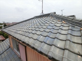 屋根の全景