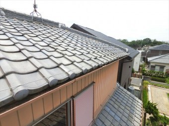 屋根の全景