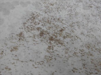 ベランダ防水の劣化