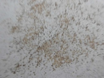 FRP防水