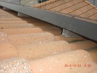 屋根の中に鳥の巣