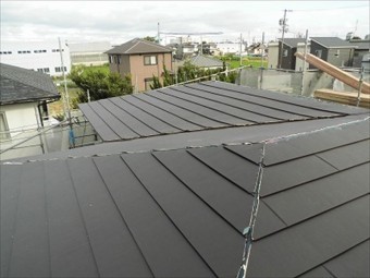 ダンネツトップ