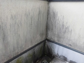 FRP防水