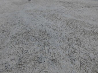 FRP防水