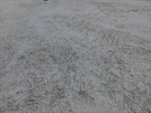 FRP防水