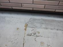 陸屋根点検