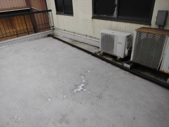 屋根の全景