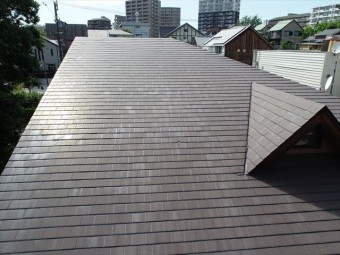 屋根の全景