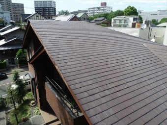 屋根の全景
