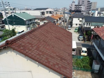 屋根の全景