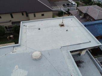屋根の全景