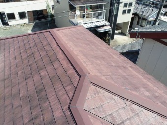 屋根の全景