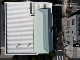 屋根の全景