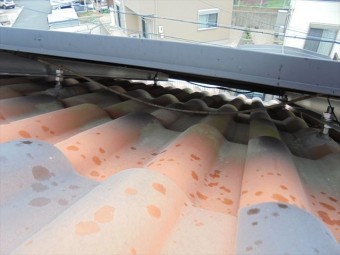 太陽光発電でエコな生活