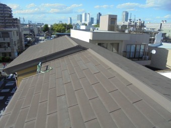 屋根の全景