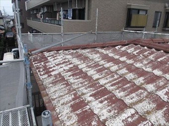 スーパーガルテクト