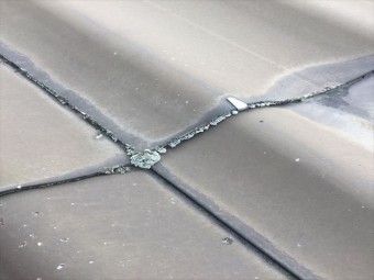 瓦の表面に苔