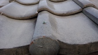 瓦屋根診断
