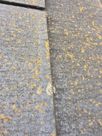 IMG_2627-columns2
