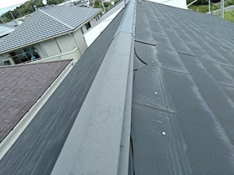 ニチハ パミール