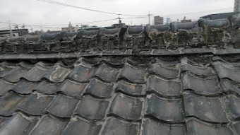 台風で飛ばされた瓦