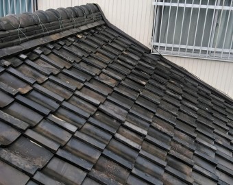 屋根の全景