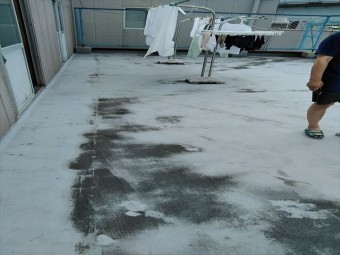 陸屋根の全景