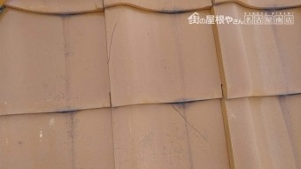 瓦のひび割れ