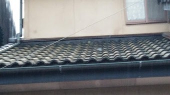 濡れたセメント瓦