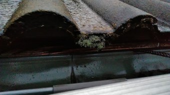 濡れたセメント瓦