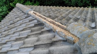 セメント瓦