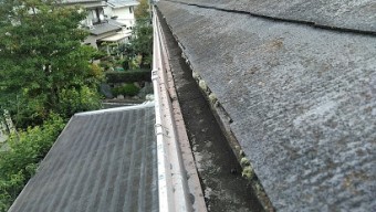 化粧スレート台風被害