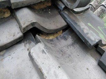 KIMG3044_R-columns2