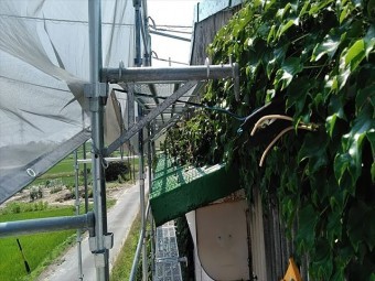 工場施工事例 塗装