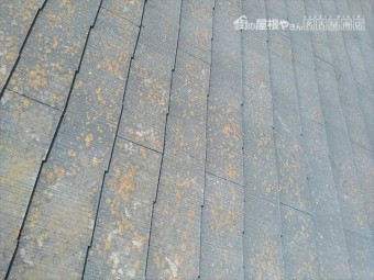 滑るスレート屋根の点検