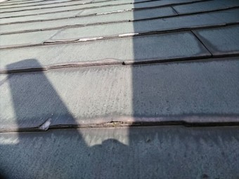 KIMG9884_R-columns2