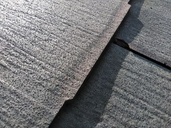 KIMG9900_R-columns2