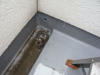 排水の詰まり