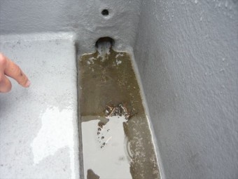 排水の詰まり