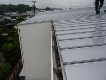 雨樋周辺