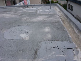 陸屋根の全景