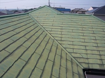 屋根の全景