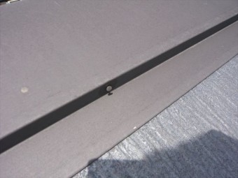 棟板金の釘浮き