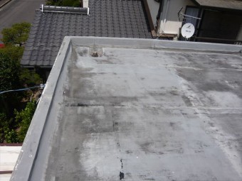 屋根の全景