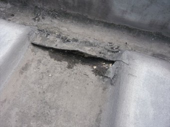 排水ドレン廻り